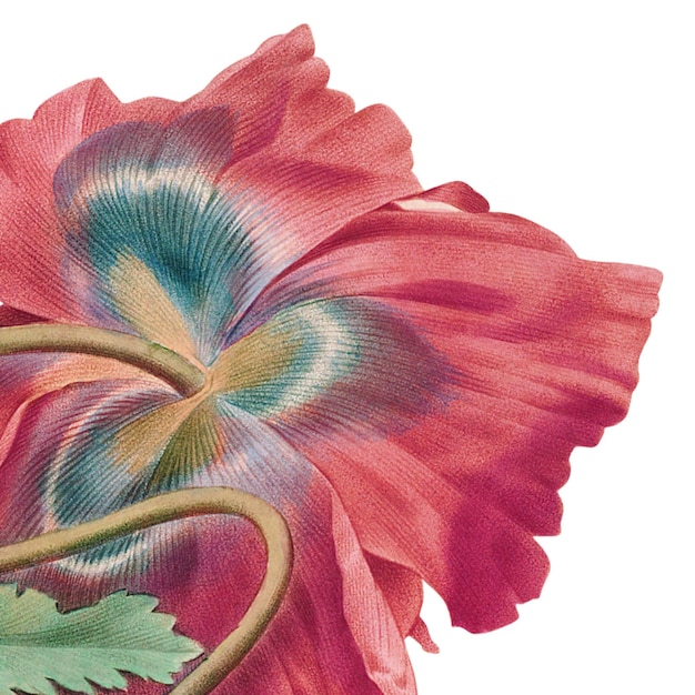 Образец вышивки 1